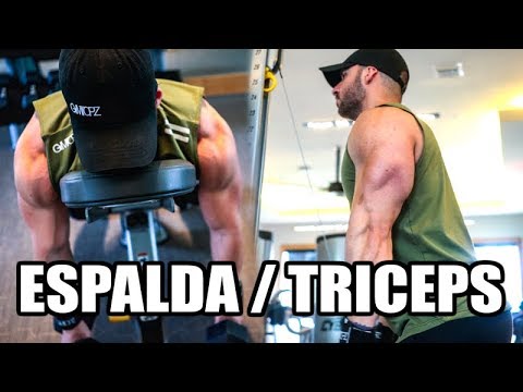 ¿Cómo hacer espalda y tríceps?