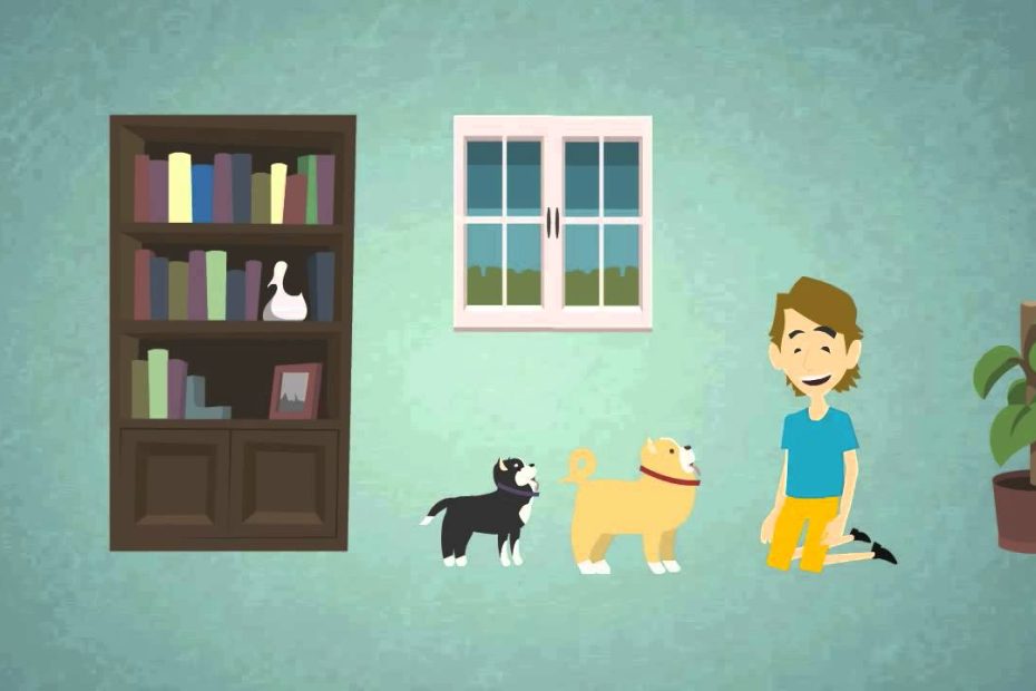 ¿Cómo funciona una residencia canina?